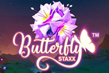 BUTTERFLY STAXX