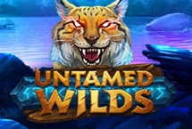 UNTAMED WILDS