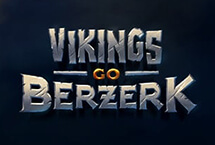 VIKING BERZERK